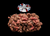The Dogs Butcher Raw Dog Food - Lamb Tripe with Turkey 80-10-10 1kg