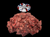 The Dogs Butcher Raw Dog Food - Lamb, Fish & Turkey Mince 80-10-10 1kg