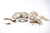 Ruffingtons Artisan Baked Dog Chocolate Treat Biscuits
