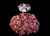 The Dogs Butcher Raw Dog Food - Mixed Meat with Duck 80-10-10 1kg