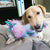 KONG Knots Carnival Lion Small/Medium