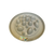 Happy Pet Cactus Slow Feeders 32x32x7