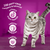 WHISKAS® 1+ Adult with Salmon Dry Cat Food