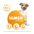 IAMS Vitality Senior Large Breed Chicken Dry Dog Food