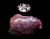 The Dogs Butcher Raw Dog Food - 500g Ox Liver Chunks