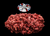 The Dogs Butcher Raw Dog Food - Ox Mince with Chicken 80-10-10 1kg