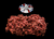 The Dogs Butcher Raw Dog Food - Ox Mince with Duck 80-10-10 1kg