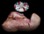 The Dogs Butcher Raw Dog Food - 1kg Whole Ox Tongue