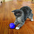 KONG Cat Treat Dispensing Ball Cat Toy
