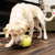 KONG Rewards Tennis Large
