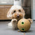 KONG Bamboo Feeder Dumbbell Medium Dog Toy