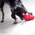 KONG Wobbler™ Large