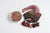 Paleo Ridge Raw Dog Food - Classic Beef Tripe and Turkey 1kg