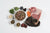 Paleo Ridge Raw Dog Food - Paleo Plus Special Diet 500g