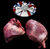 The Dogs Butcher Raw Dog Food - Pig Hearts
