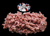 The Dogs Butcher Raw Dog Food - Puppy Lamb Tripe with Duck 80-10-10 1kg