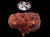 The Dogs Butcher Raw Dog Food – Purley Alpaca Raw Mince 1kg 80-10-10