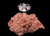 The Dogs Butcher Raw Dog Food - Purely Duck Single Protein 80-10-10 1kg