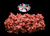 The Dogs Butcher Raw Dog Food - Purely Lamb Mince Single Protein 80-10-10 1kg