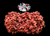 The Dogs Butcher Raw Dog Food - Purely Ox Mince Single Protein 80-10-10 1kg