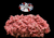 The Dogs Butcher Raw Dog Food - Purely Turkey Single Protein 80-10-10 1kg