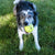KONG Reflex Football Large