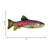 KONG Wild Shieldz Trout Medium