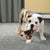 KONG TenniShoes Giraffe Large