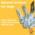 Trusty Pet Supplies Rabbit Ears with Fur