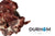DAF Raw Dog Food - Meaty Beef Bones 2Pcs