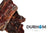 DAF Raw Dog Food - Meaty Venison Bones 2Pcs
