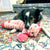 KONG Shakers Crumples Bunny XL Dog Toy