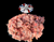 The Dogs Butcher Raw Dog Food - Salmon & Turkey With Ox Mince 80-10-10 1kg