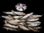 The Dogs Butcher Raw Dog Food - Whole Seasonal Oily Fish 1kg