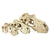 Komodo T-Rex Skull - Large