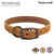 Ancol Timberwolf Leather Dog Collar