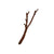 Komodo Tropical Vine Branch