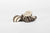 Ruffingtons Artisan Baked Dog Chocolate Treat Biscuits