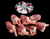 The Dogs Butcher Raw Dog Food - Turkey Hearts 1kg
