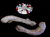 The Dogs Butcher Raw Dog Food - Turkey Necks x 2