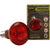 Komodo Infrared Spot Bulb BC 50-100W