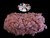 The Dogs Butcher Raw Dog Food - Veal Mince with Duck Neck 80-10-10 1kg
