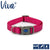 Ancol Viva Adjustable Dog Collar