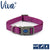Ancol Viva Adjustable Dog Collar