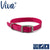 Ancol Viva Dog Collar
