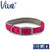 Ancol Viva Padded Dog Collar