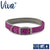 Ancol Viva Padded Dog Collar