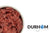 DAF Raw Dog Food - Wild Boar Mince