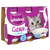 WHISKAS® Cat Milk 3 x 200ml