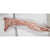 Kiezebrink Raw Dog Food - Whole Skinned Rabbit